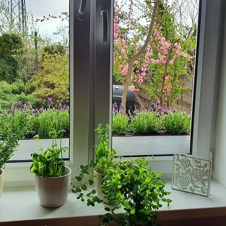 아파트 Apartament Z Ogrodem I Grillem.