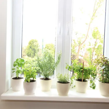 아파트 Apartament Z Ogrodem I Grillem.